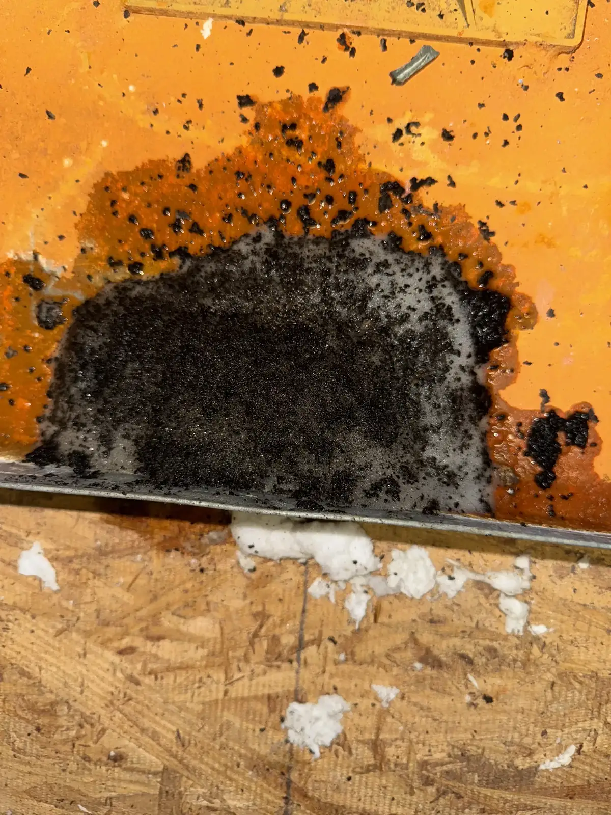 Years of biofilm sludge in a "maintained" drain line (Sunset Beach, NC)