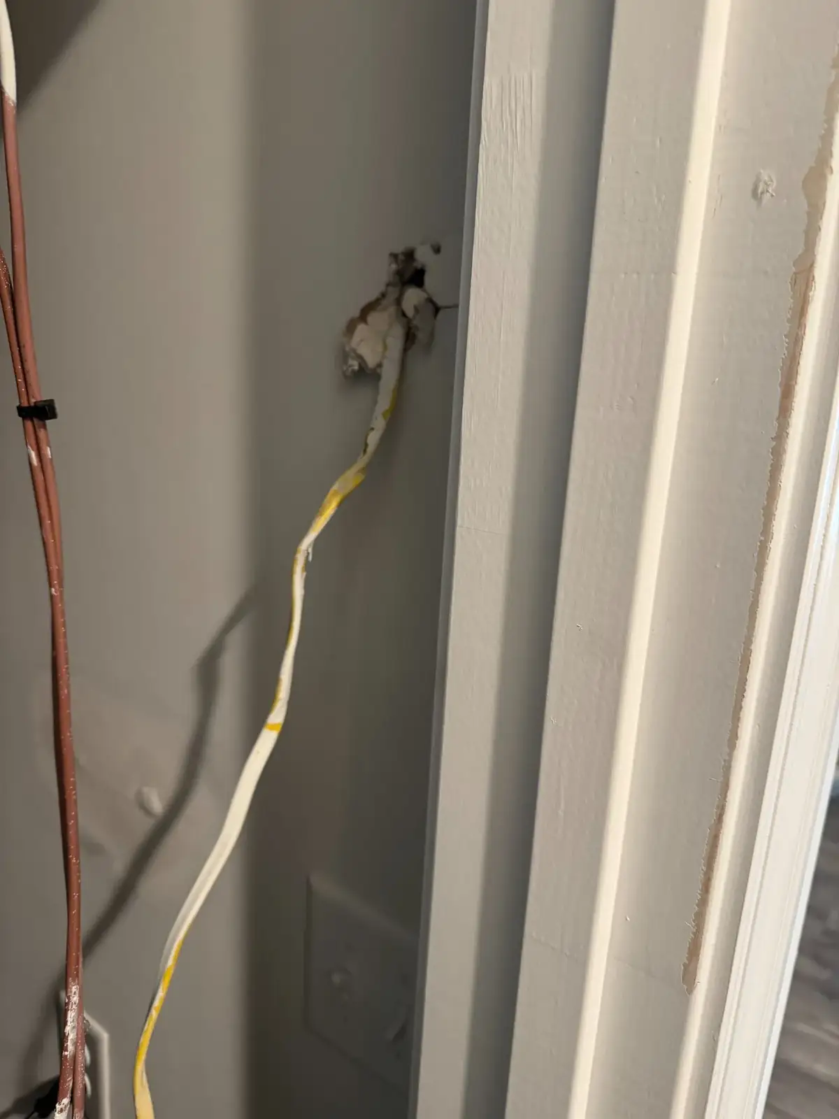 Romex pulled through a wall, then painted over (Cherry Grove, SC)